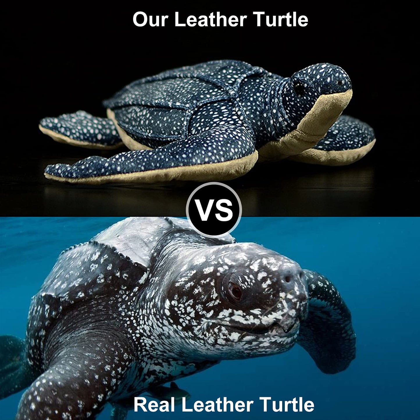 Simulation Turtle Stuffed Plush Toy, Lifelike Sea Creeping Animals Tortoise Rex Plushie Toys