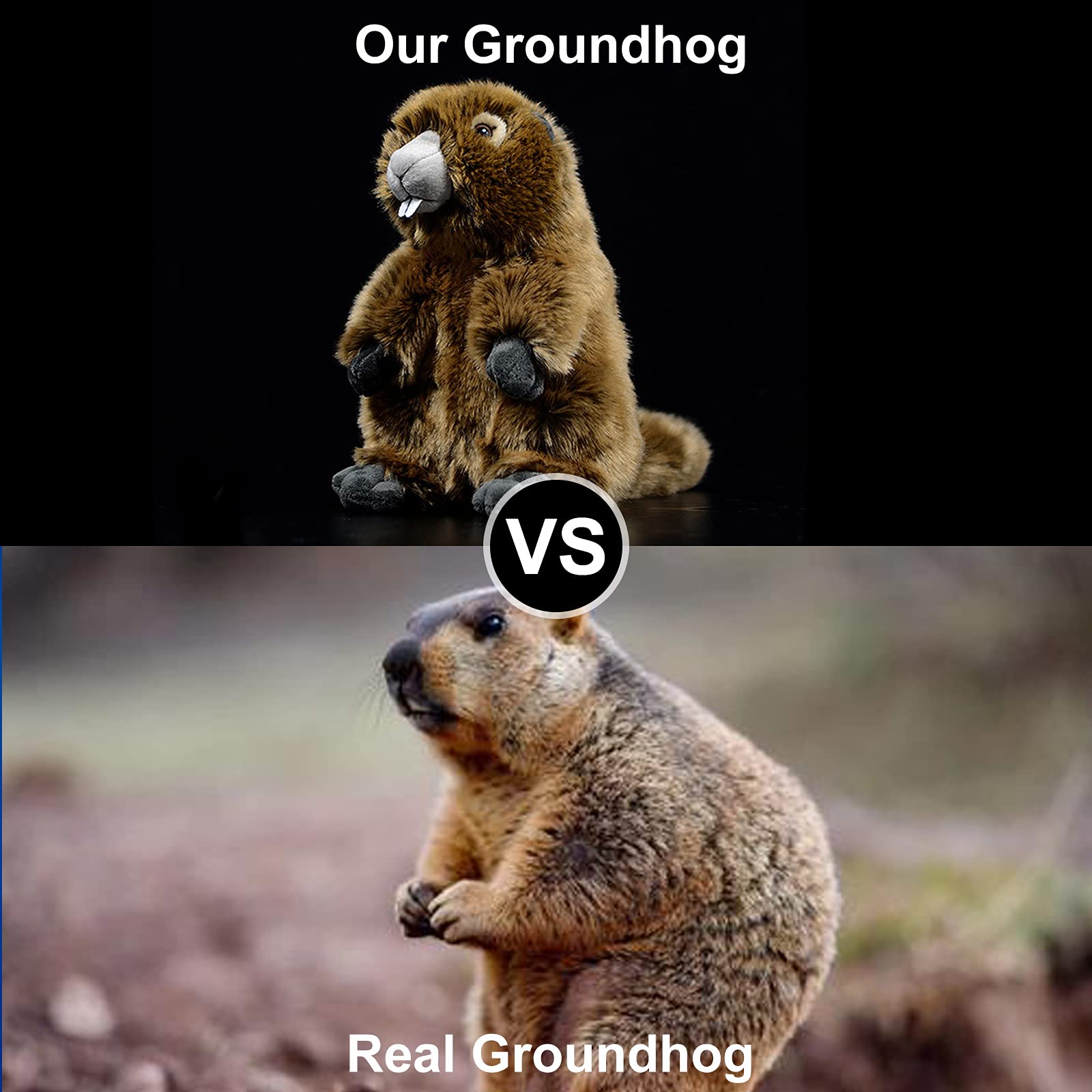 Simulation Groundhog Plush Toy, Cute Real Life Greedy Groundhog Simulation Plush Toys