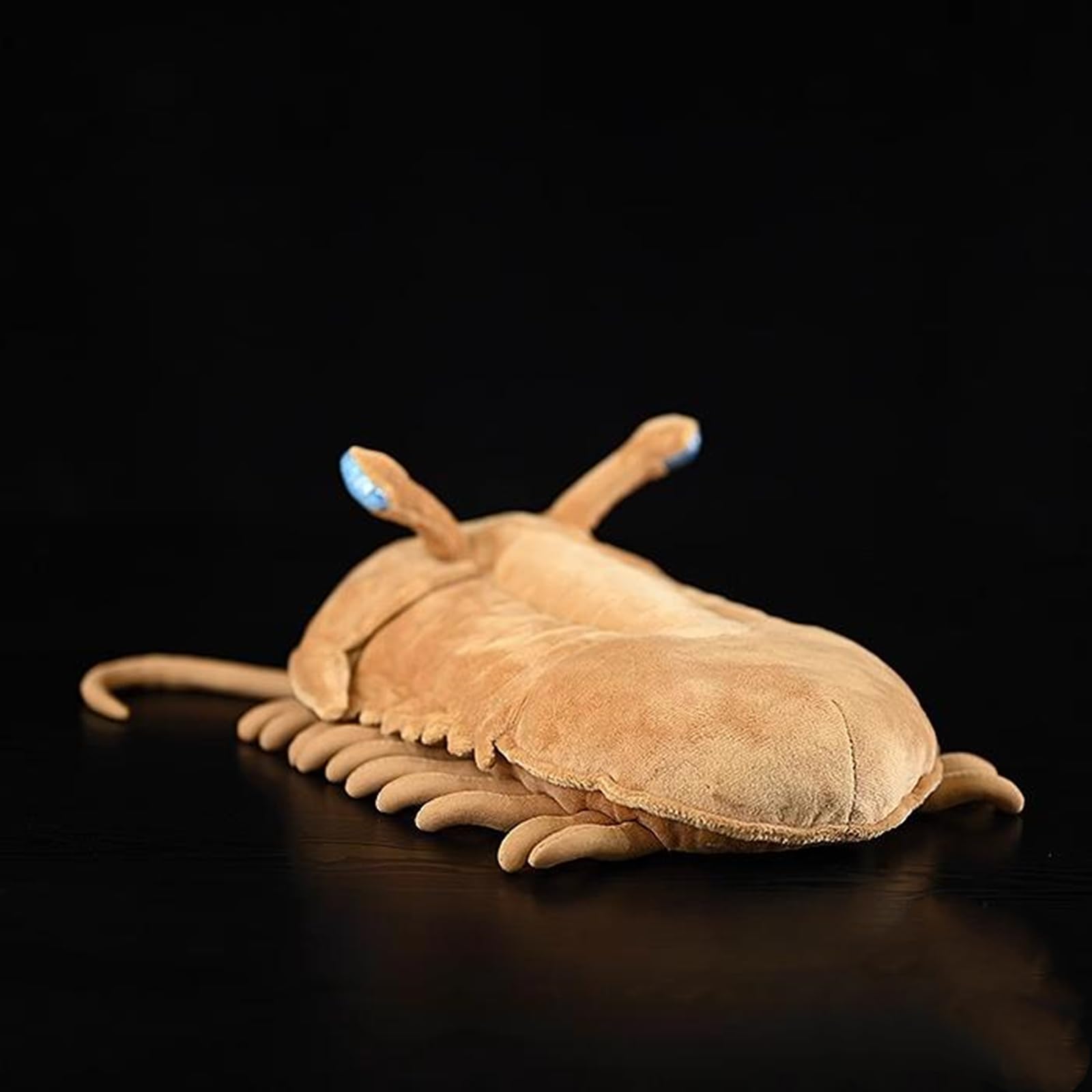 Realistic Cambrian Ancient Plush Toy, Lifelike Cambrian Stuffed Animals Model Plushie