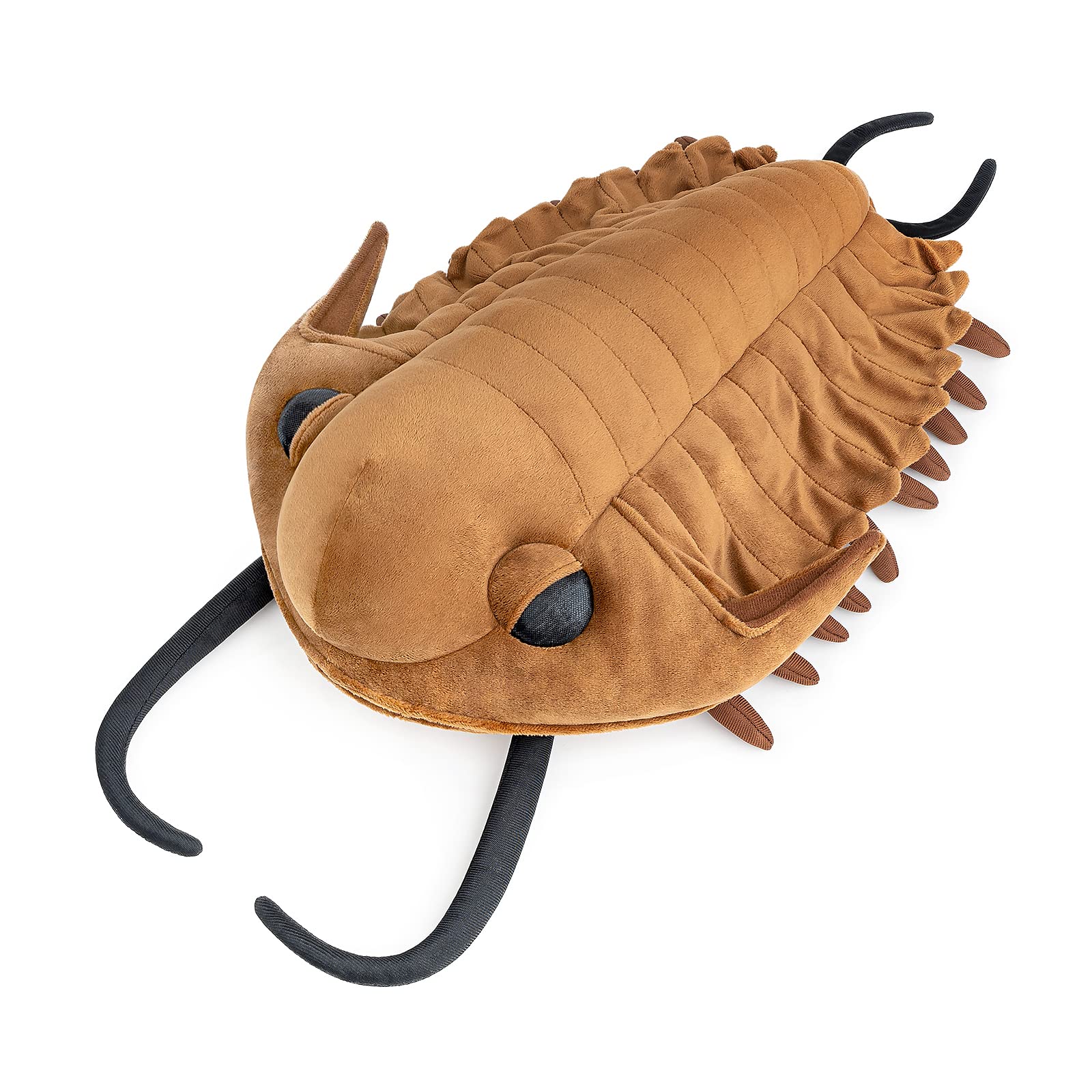 Realistic Cambrian Ancient Plush Toy, Lifelike Cambrian Stuffed Animals Model Plushie