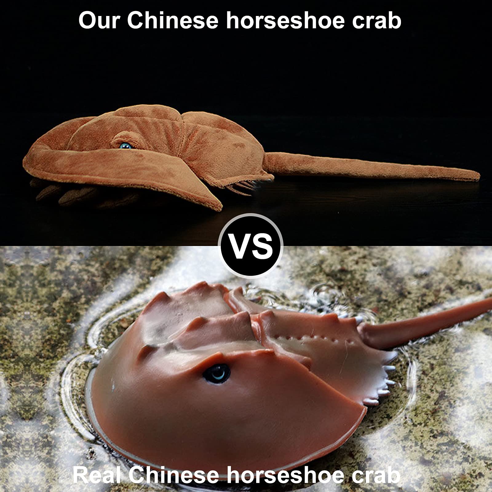 Simulation Tri-Spine Horseshoe Crab Stuffed Plush Toy, Life Lifelike Sea Limulus Animals