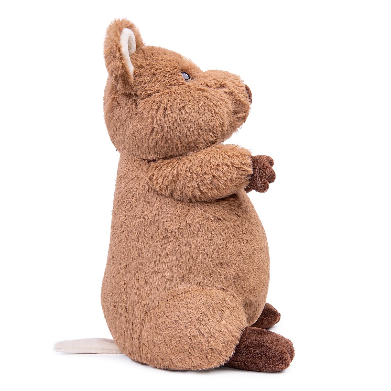 Quokka Plush Toy, Realistic Quokka Stuffed Animals