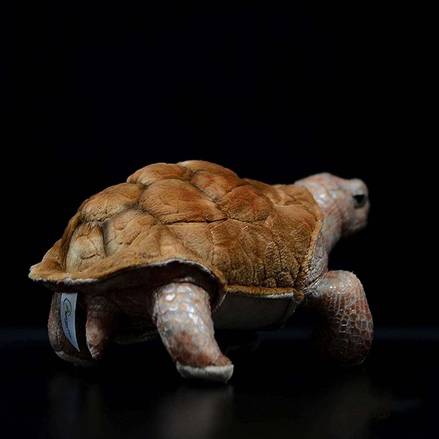 Simulation Turtle Stuffed Plush Toy, Lifelike Sea Creeping Animals Tortoise Rex Plushie Toys