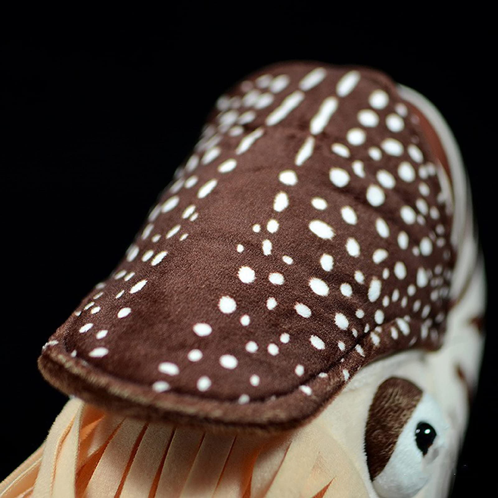 Nautilus Stuffed Animal, Realistic Nautilus Plush Toy