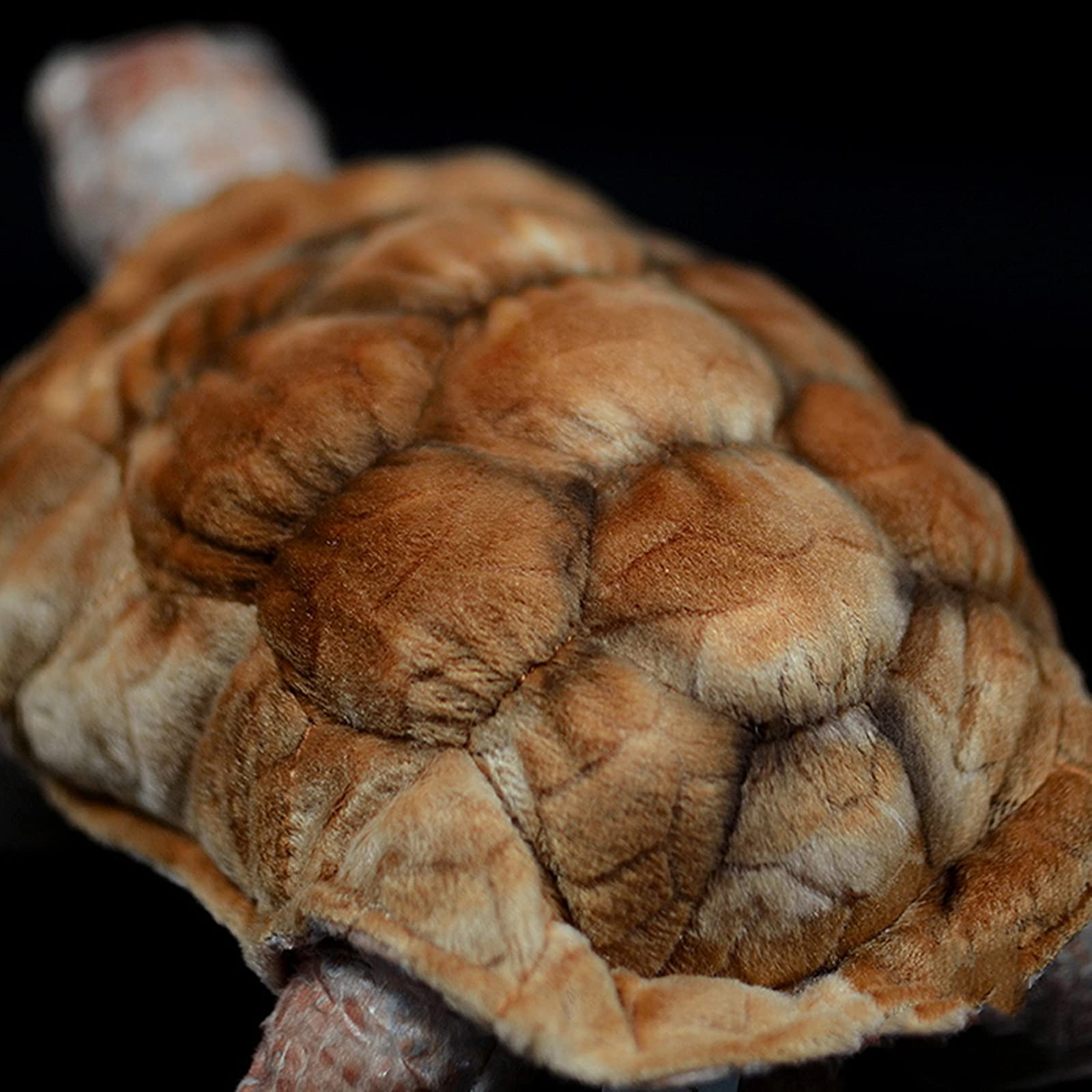 Simulation Turtle Stuffed Plush Toy, Lifelike Sea Creeping Animals Tortoise Rex Plushie Toys