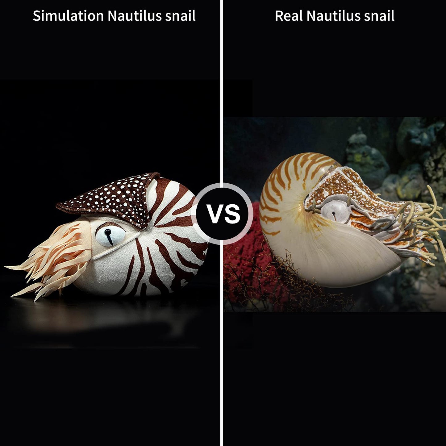Nautilus Stuffed Animal, Realistic Nautilus Plush Toy