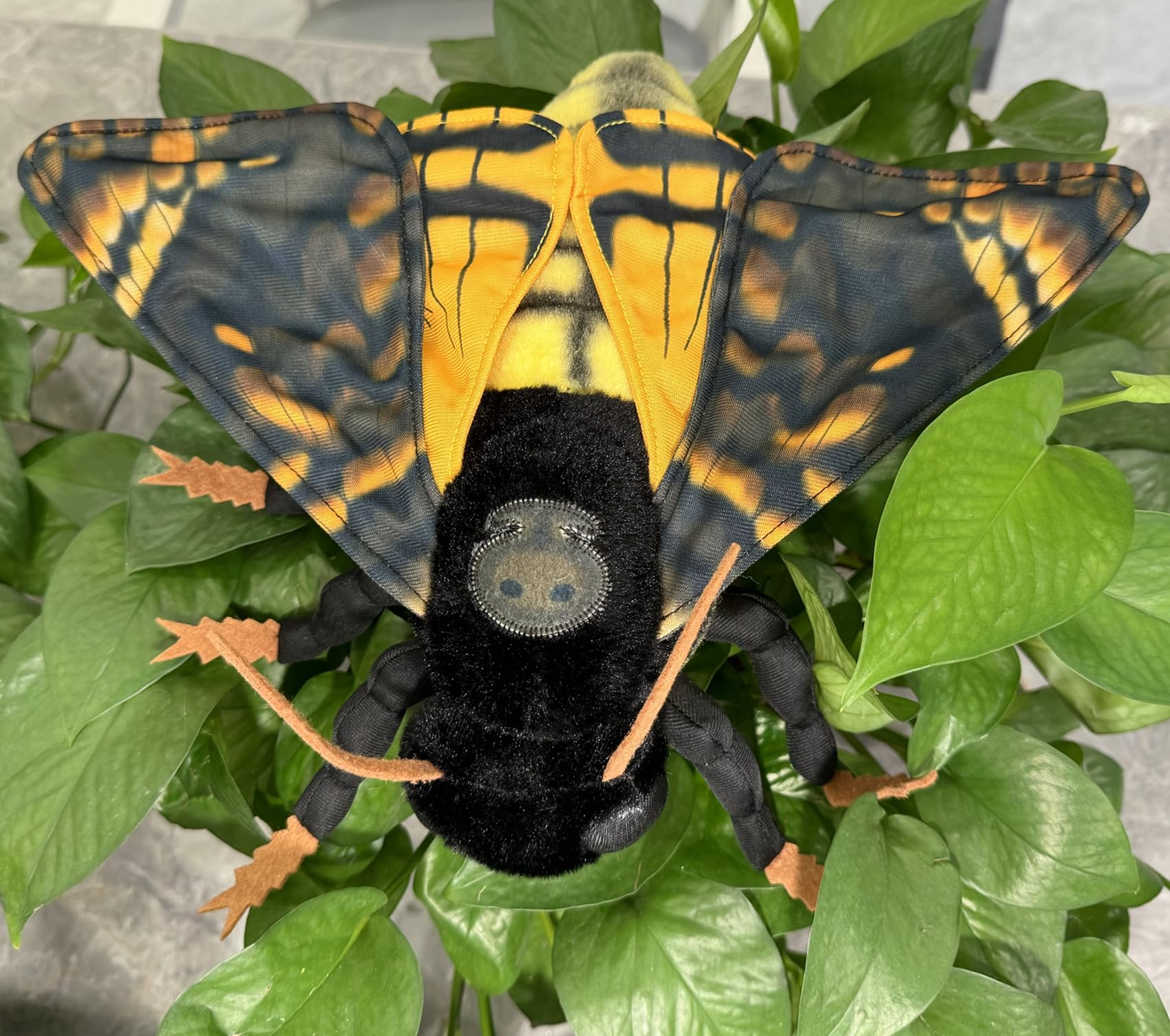 Death's-Head Hawkmoth Plush Toy, Large Death Hawk Moth Stuffed Animals