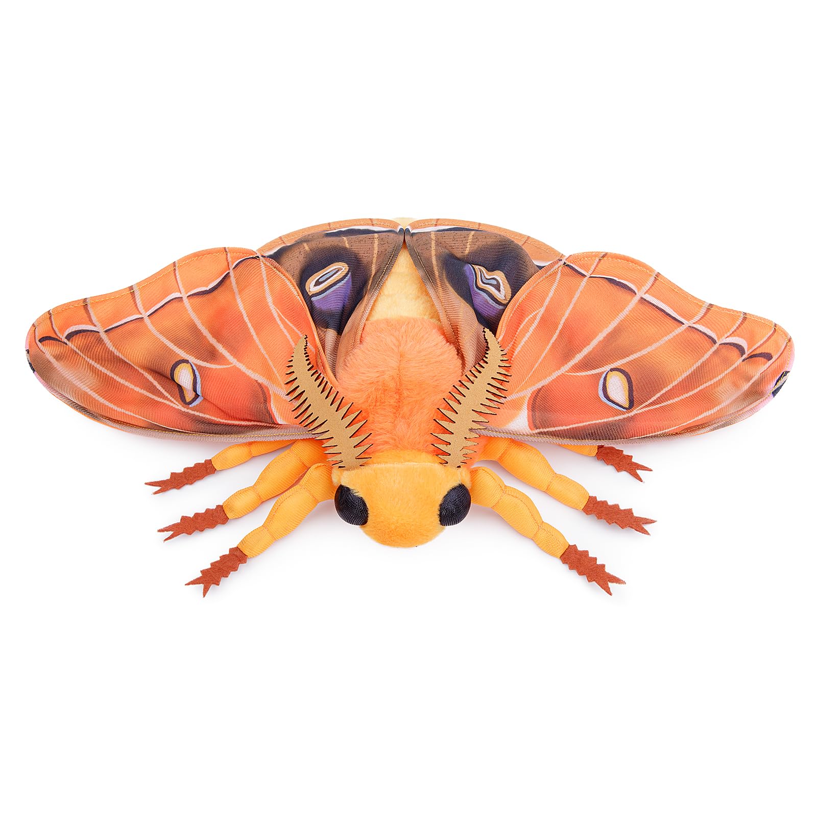 Polyphemus Moth Plush Toy, Large Polyphemus Moth Stuffed Animals
