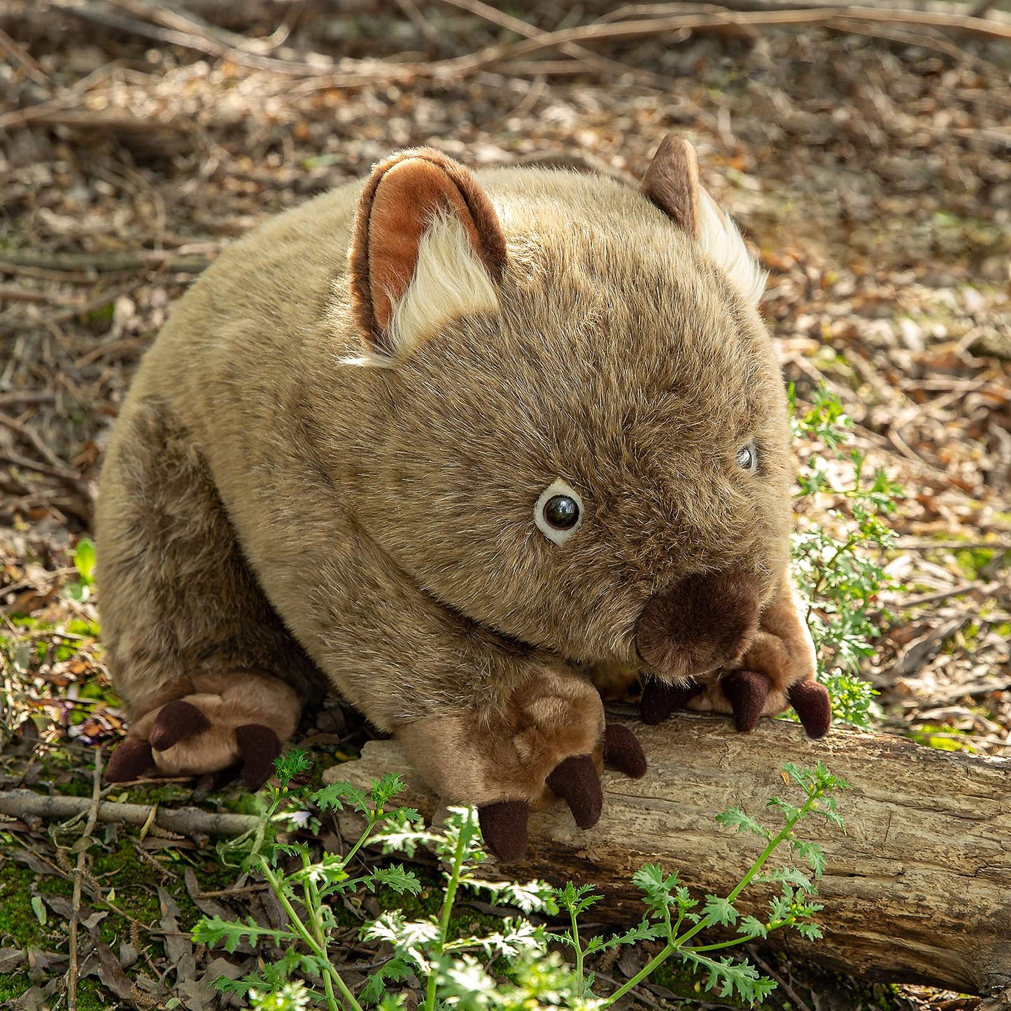 Wombat Plush Toy, Lifelike Wombat Stuffed Animals, Soft Wild Animals Crawling Wombat Stuffed Toys