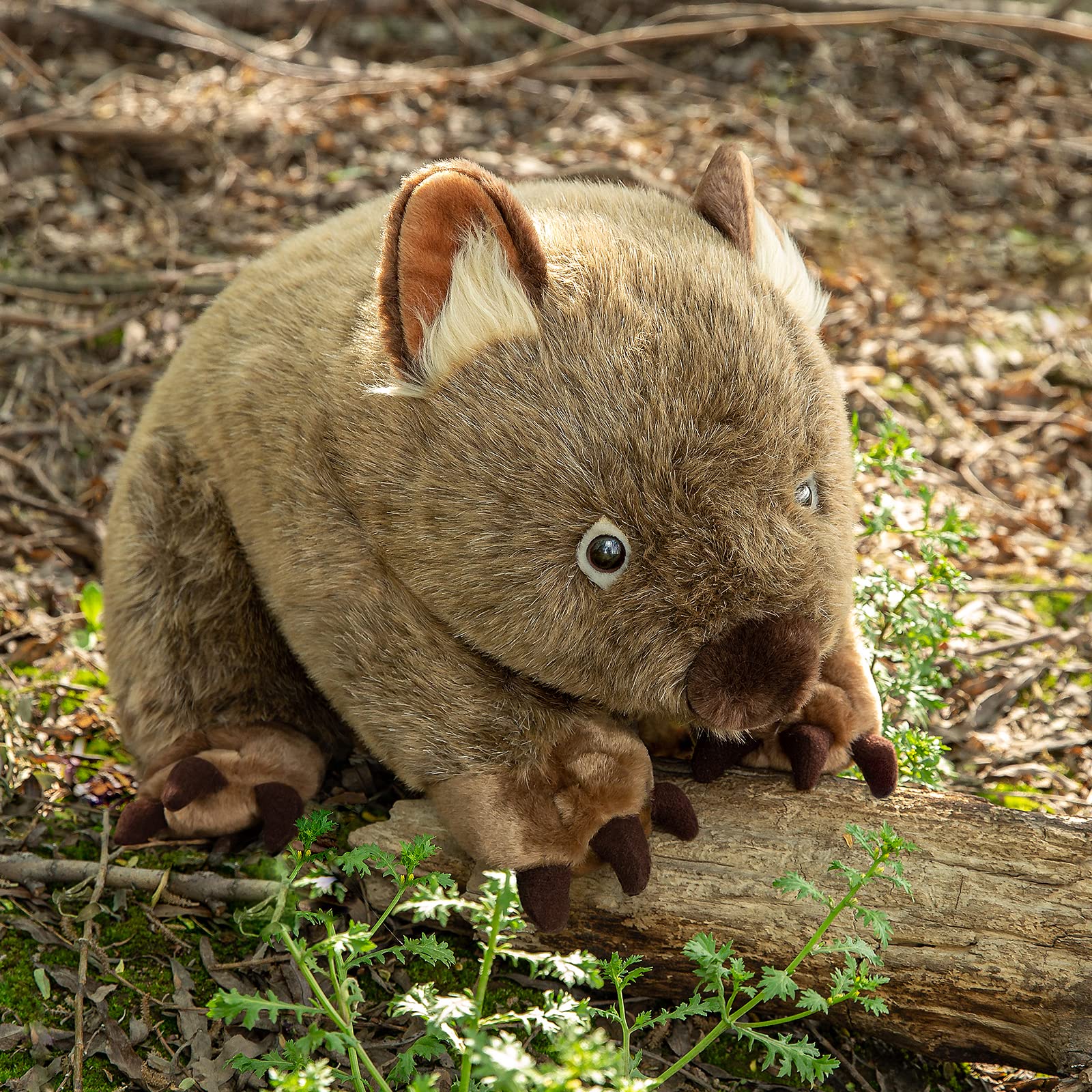 Wombat Plush Toy, Lifelike Wombat Stuffed Animals, Soft Wild Animals Crawling Wombat Stuffed Toys