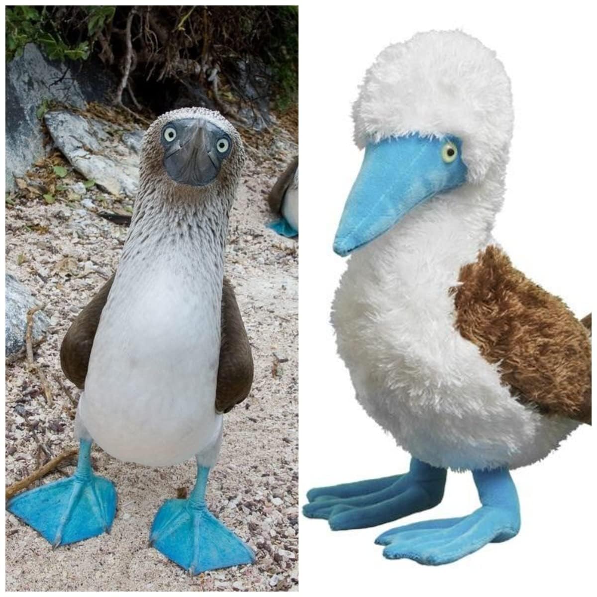 Simulation Blue Footed Booby Plush Toy, Soft and Cute Blue Footed Booby Stuffed Animal Toys