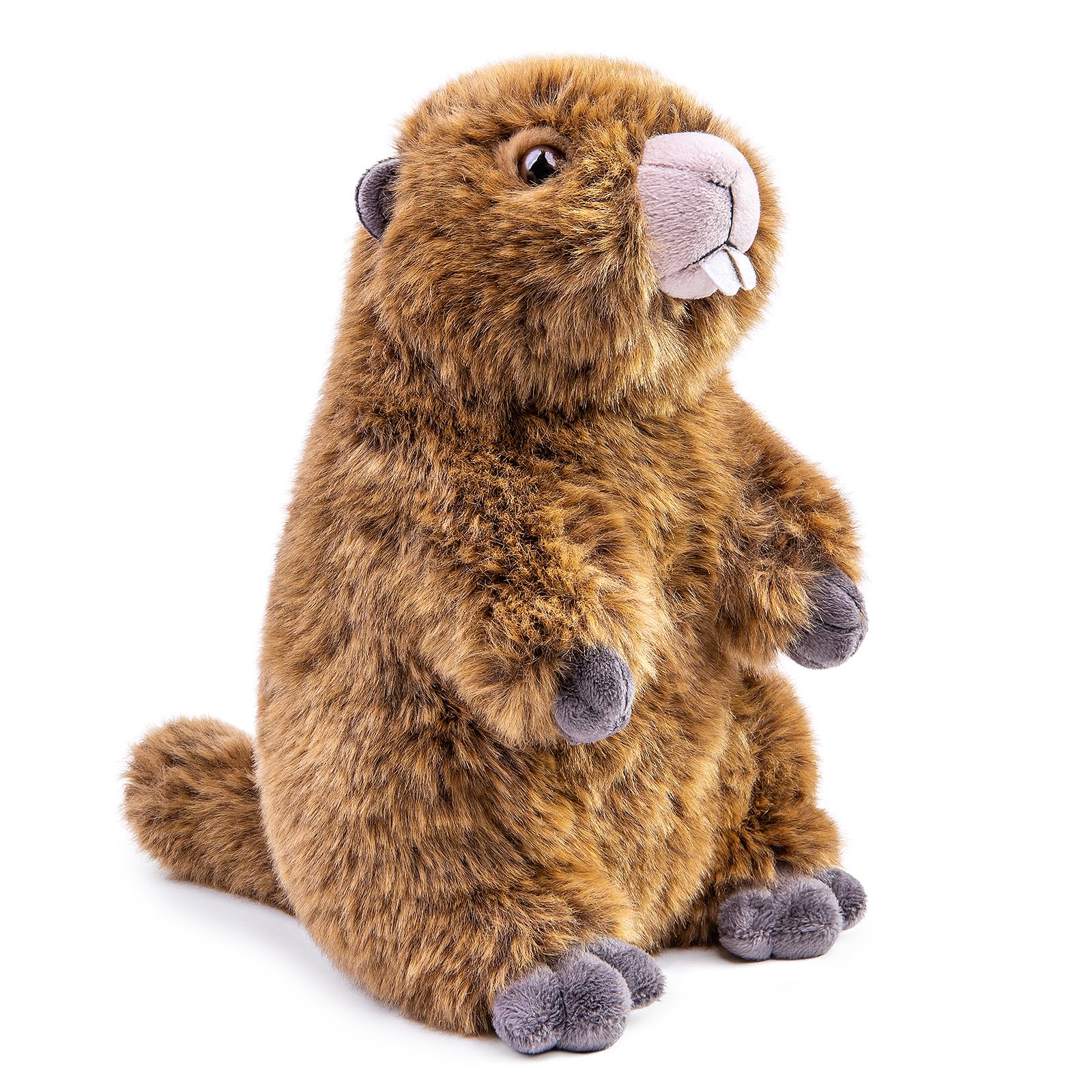 Simulation Groundhog Plush Toy - Cute Real Life Greedy Groundhog Simulation Plush Toys, Lifelike Wild Animals Prairie Dog Stuffed Toys Birthday Gifts for Kids, 10Inches