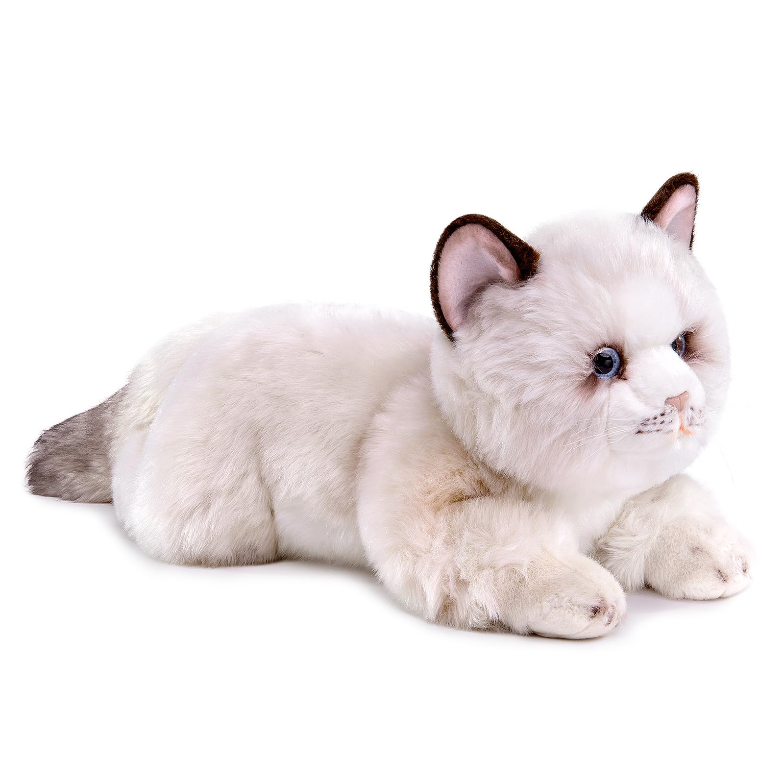 Ragdoll Cat Plush, Lifelike Ragdoll Cat Stuffed Animals, Cute 20inch Plush Toy Pet Cat, Soft Toy Cat for Kids