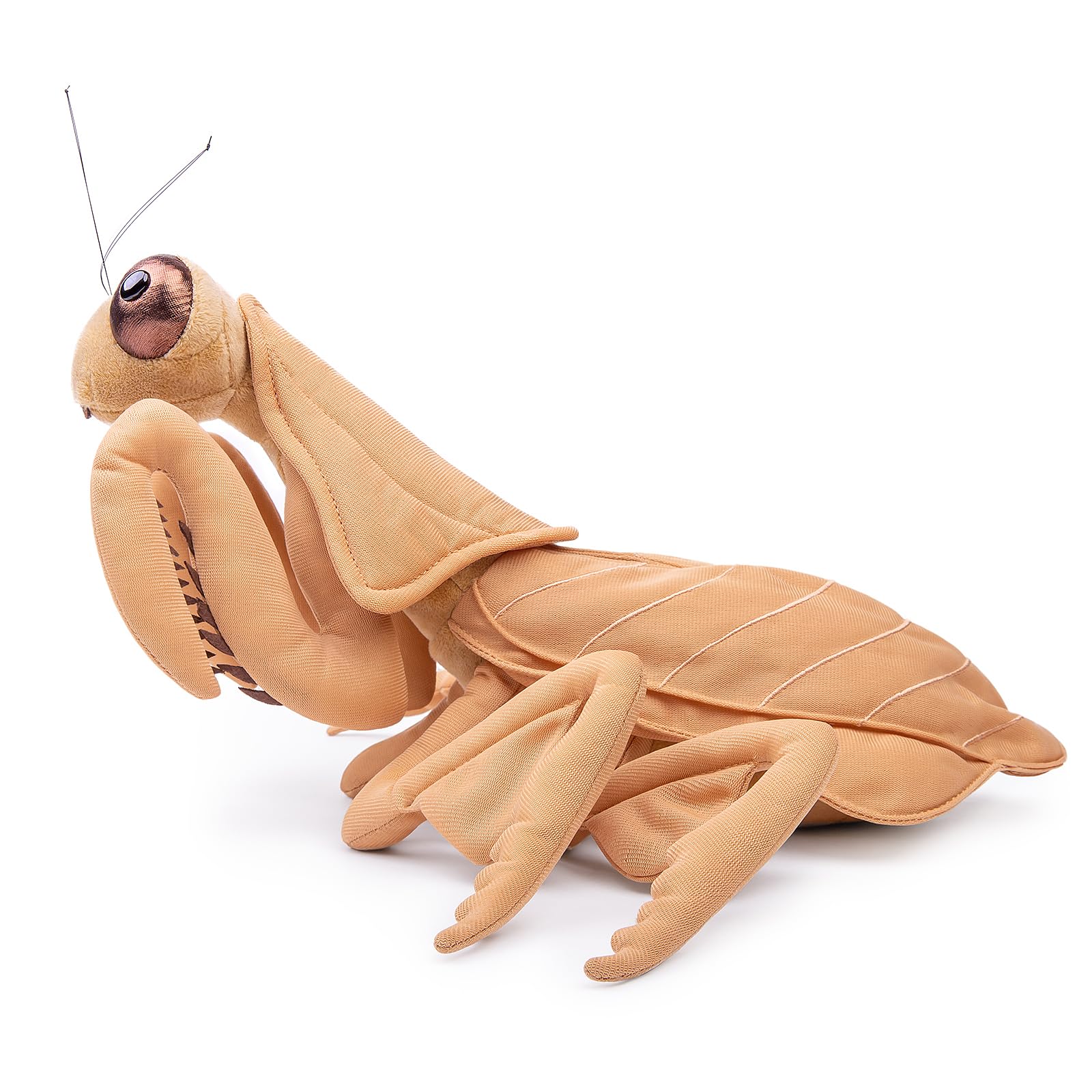 Mantis Plush Toy, Realistic Mantis Stuffed Animals