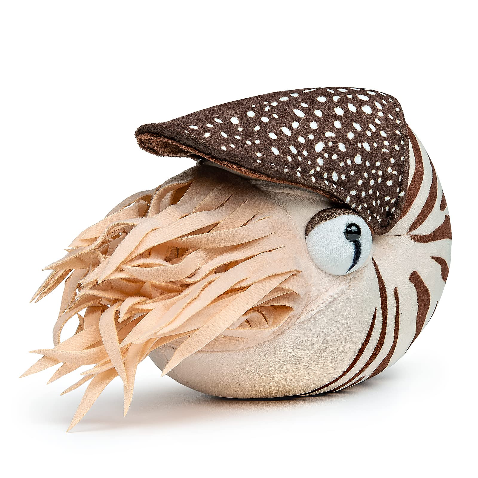 Nautilus Stuffed Animal, Realistic Nautilus Plush Toy, Lifelike 8 Inch Nautilus Toy, Stuffed Cuddly Soft Sea Creatures Nautilus Model Plush Toy, Gift Collection for Kids