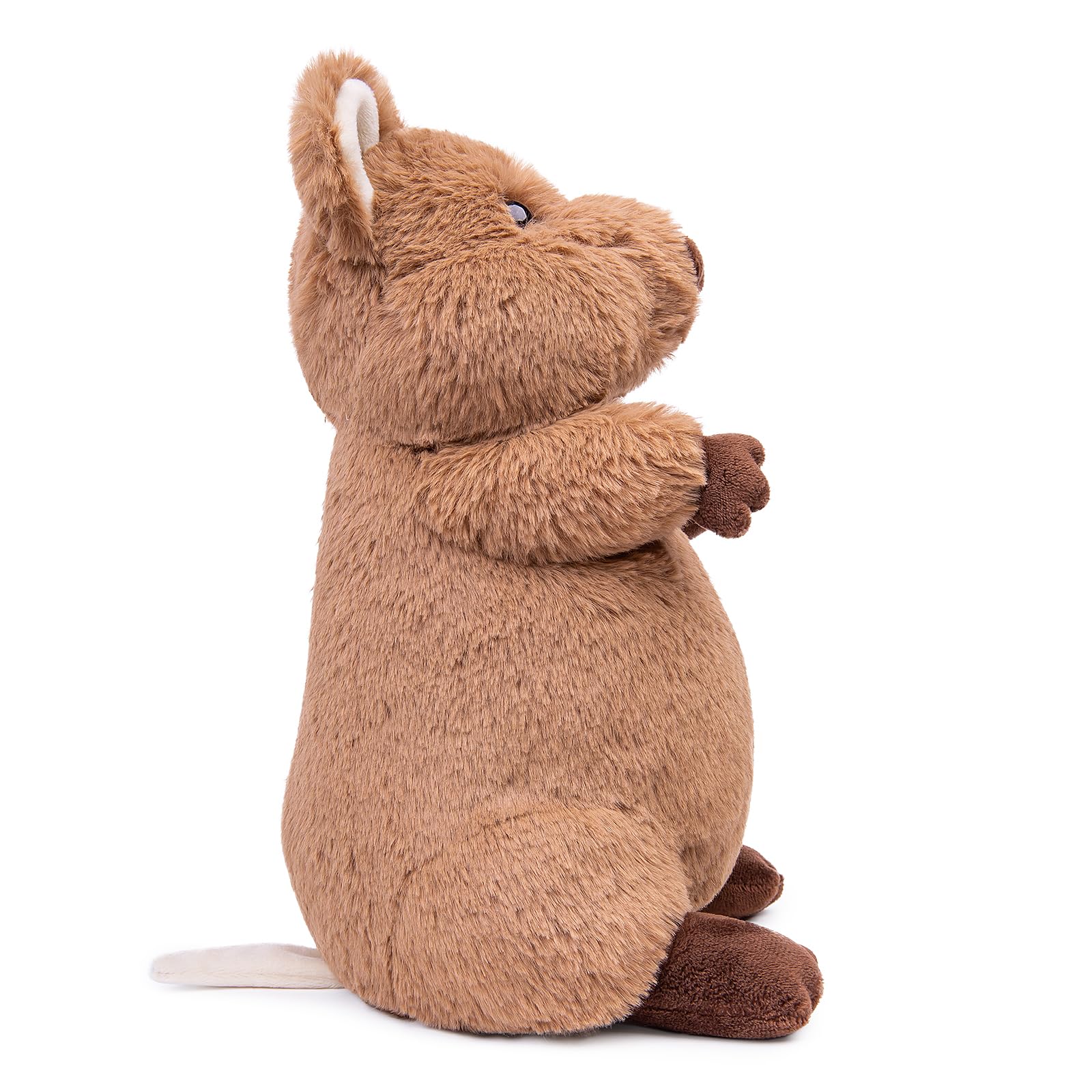 Quokka Plush Toy - Realistic Quokka Stuffed Animals, Lifelike Short Tail Kangaroo Animals Stuffed Toys Birthday Gifts for Kids, 12Inches