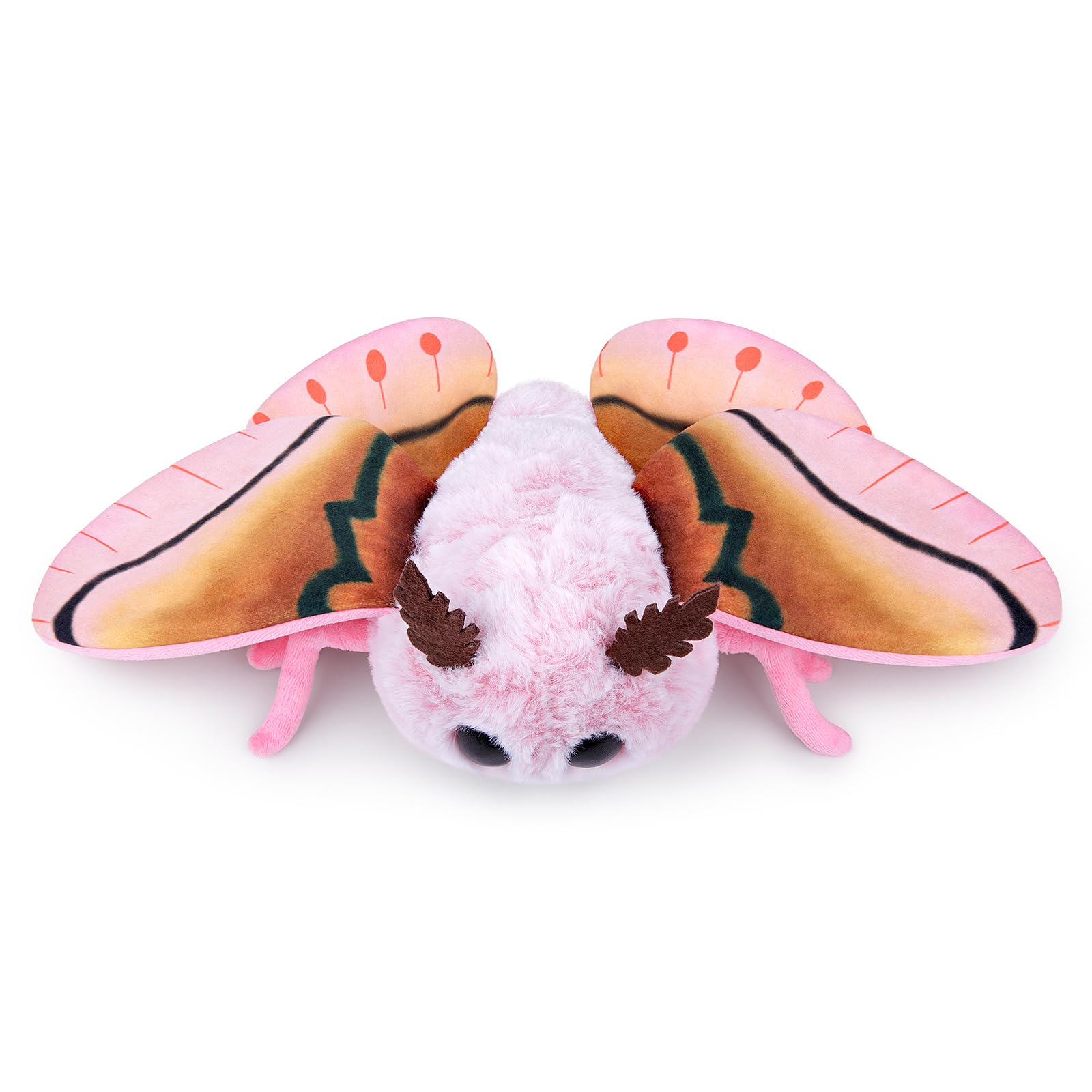 Cute Moth Plush Toy, White Moth Stuffed Animals