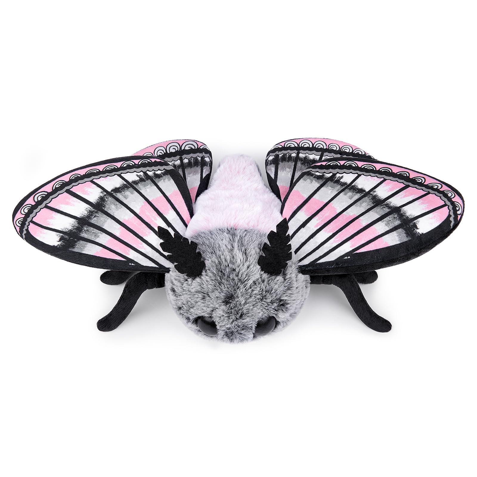 Cute Moth Plush Toy, White Moth Stuffed Animals