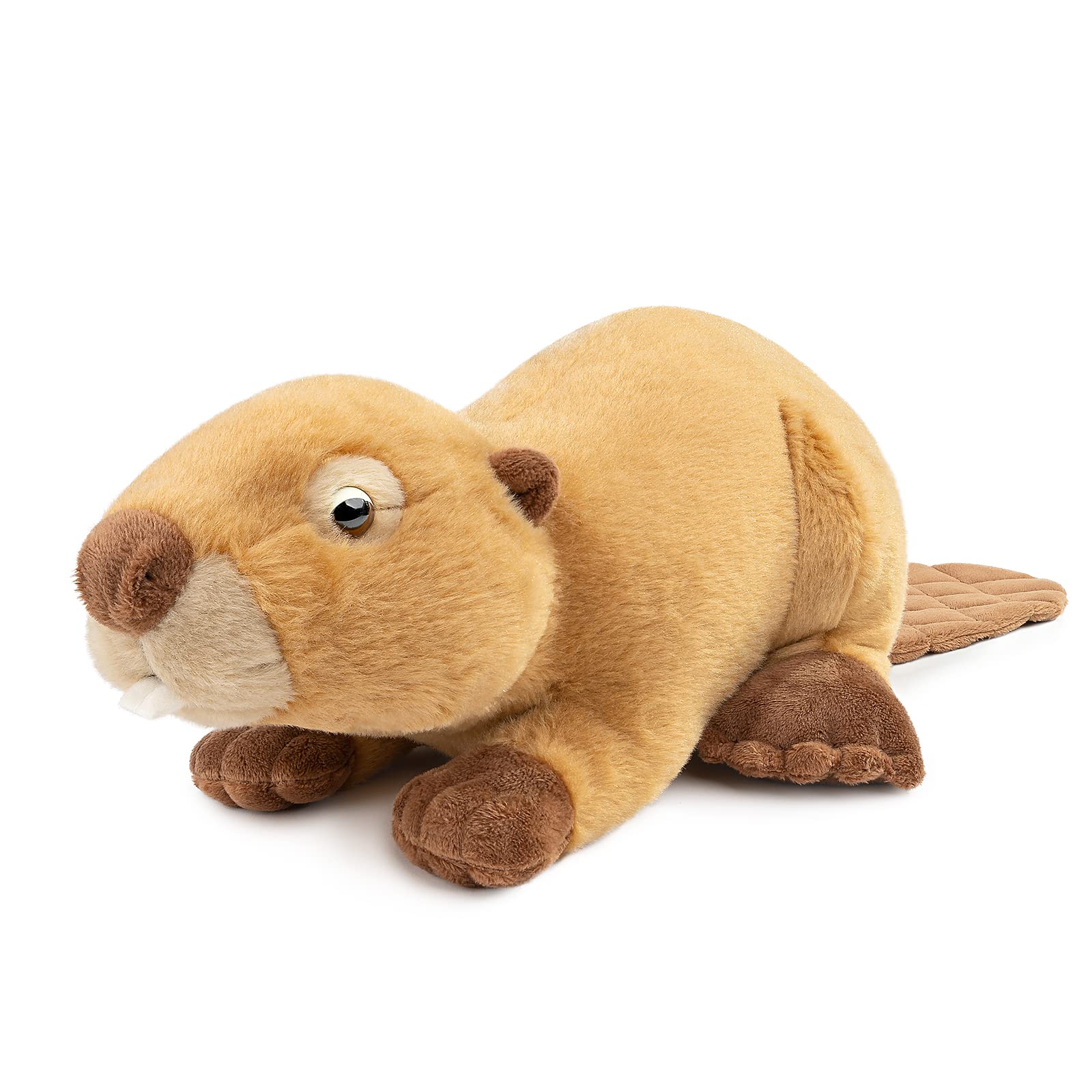 Beaver Plush toy, Lifelike Beaver Stuffed Animals Toy, Realistic Beaver Stuffed Soft Toys