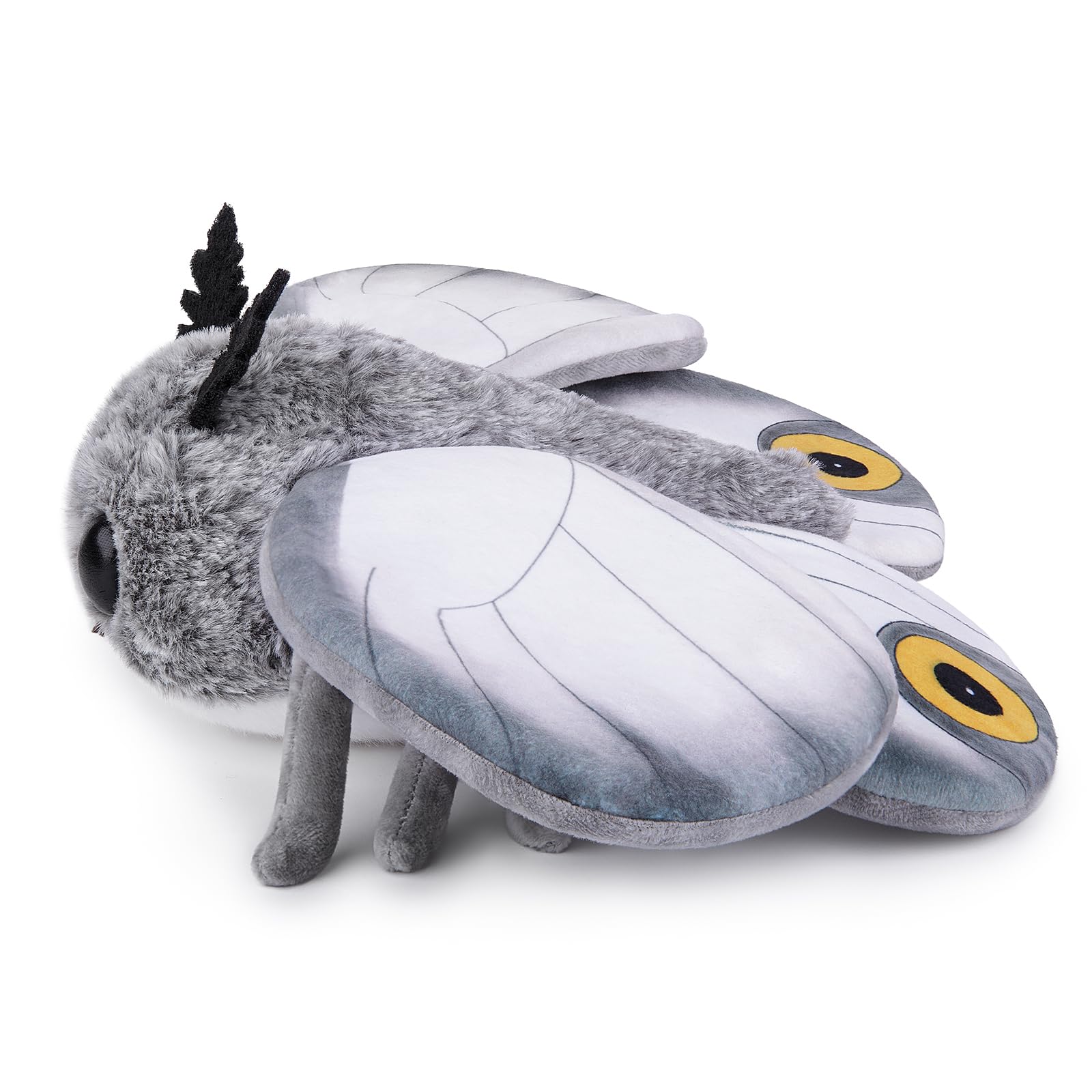 Cute Moth Plush Toy, White Moth Stuffed Animals