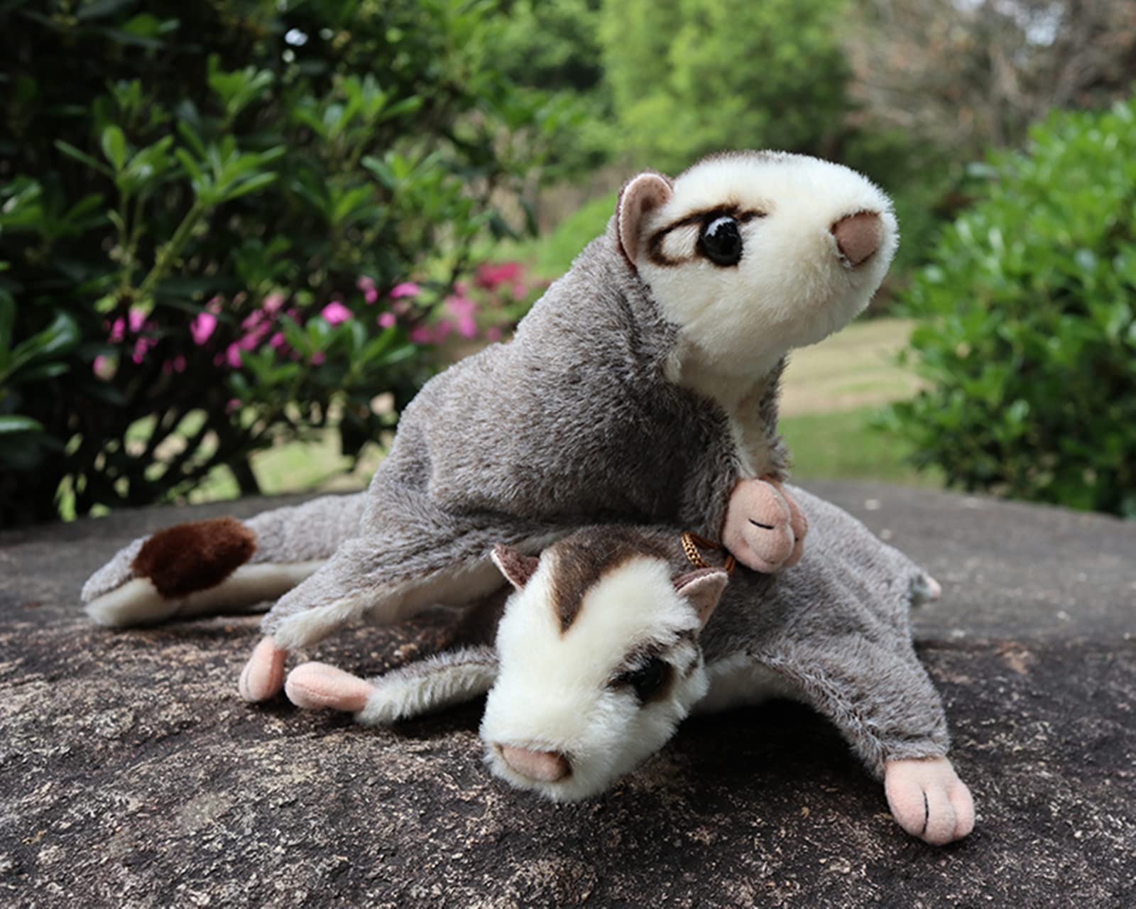 Sugar Glider Plush - Realistic Sugar Glider Stuffed Animal, 8.5 inch Plush Toy, Furry Stuff Gifts for Kids