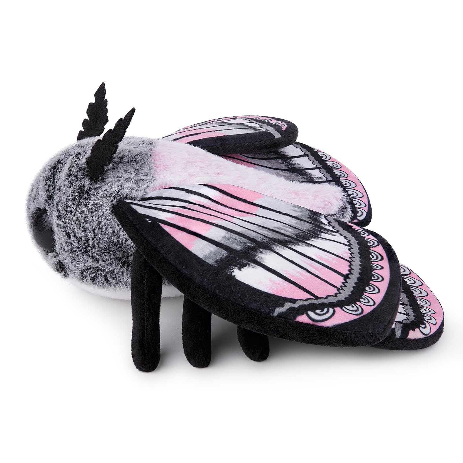 Cute Moth Plush Toy, White Moth Stuffed Animals