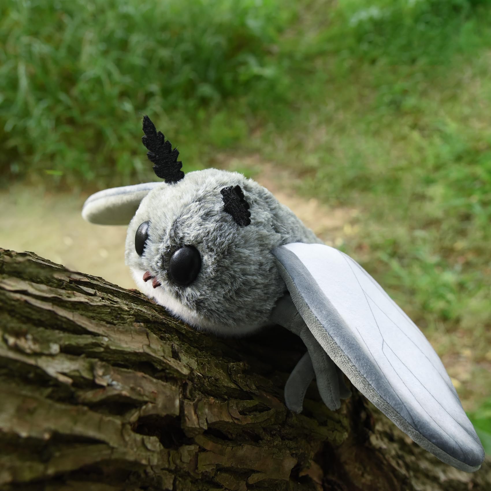 Cute Moth Plush Toy, White Moth Stuffed Animals